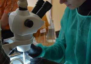 Terenowy Obóz Biologiczny