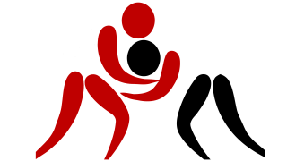 Złoty medal w zapasach