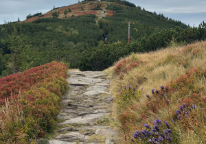 Babia Góra