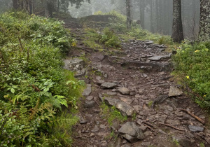Babia Góra